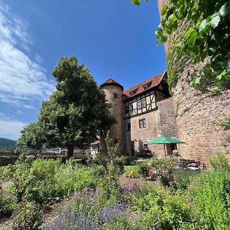 Alte Foersterei - Elegantes Apartment In Der Historischen Hinterburg Schlitz - Nahe Fulda Und Bad Hersfeld Экстерьер фото