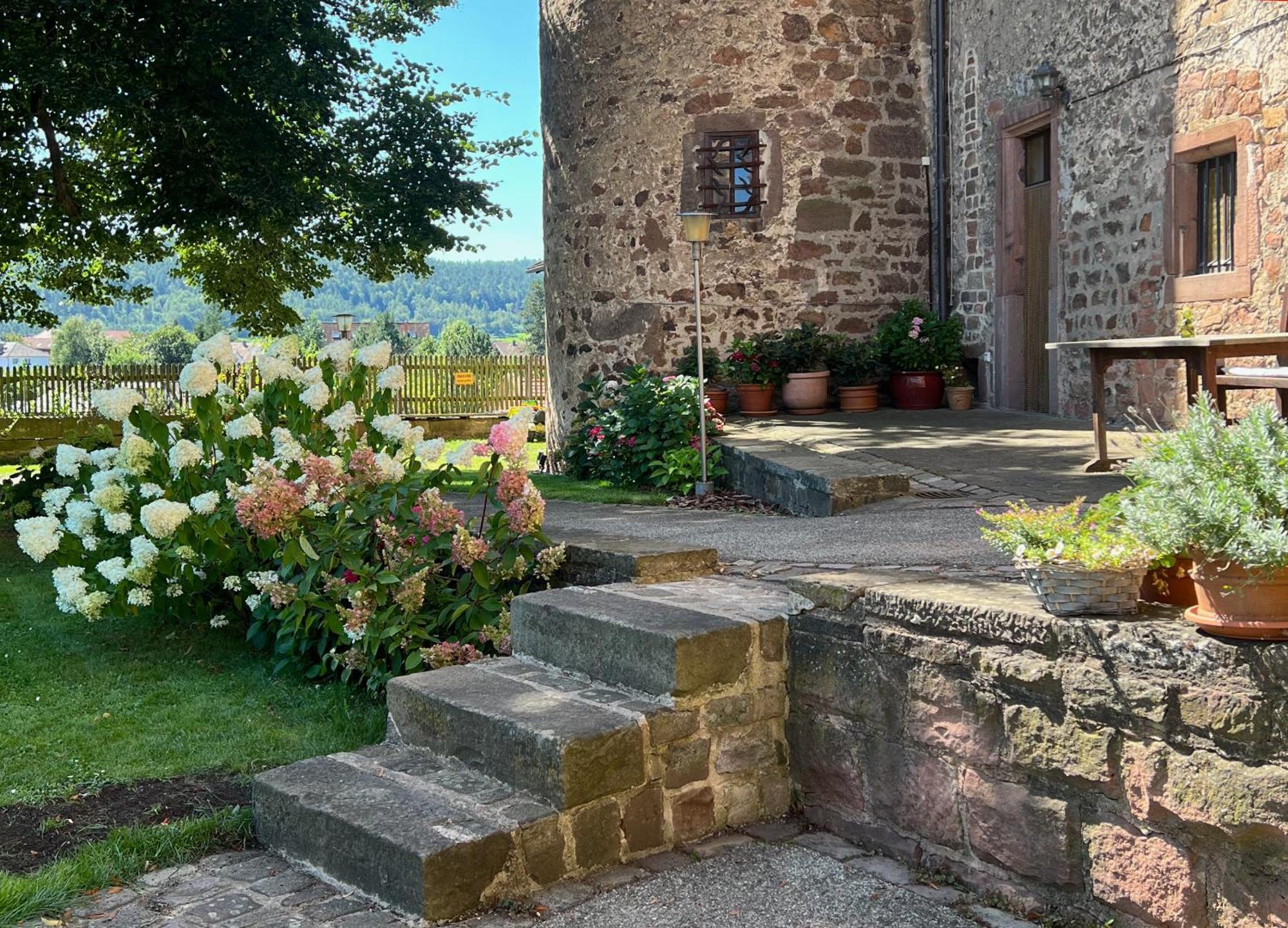 Alte Foersterei - Elegantes Apartment In Der Historischen Hinterburg Schlitz - Nahe Fulda Und Bad Hersfeld Экстерьер фото