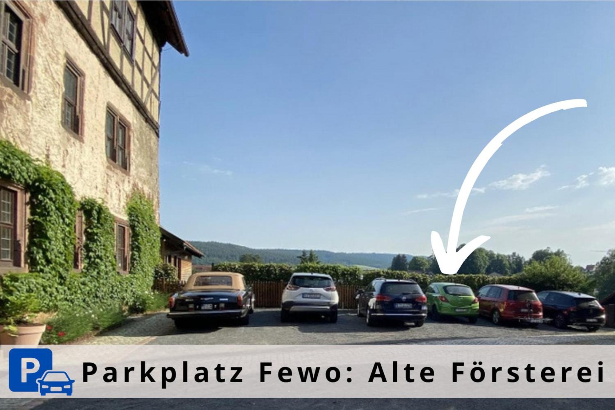 Alte Foersterei - Elegantes Apartment In Der Historischen Hinterburg Schlitz - Nahe Fulda Und Bad Hersfeld Экстерьер фото